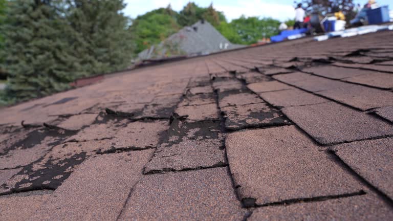 Fast & Reliable Emergency Roof Repairs in Braham, MN